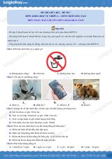 Đề thi giữa kì 1 KHTN 6 Chân trời sáng tạo - Đề số 3